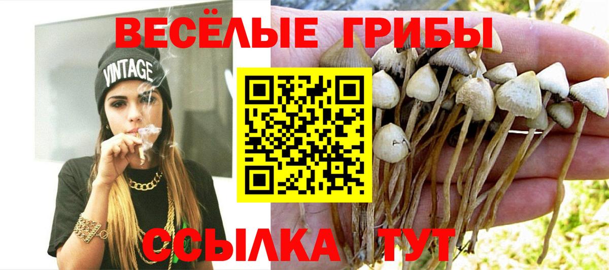 купить закладку  Галлюциногенные грибы MAGIC MUSHROOMS  Вход с VPN  Галлюциногенные грибы GOLDEN TEACHER  Ангарск 